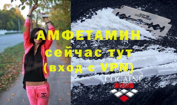 крисы Абаза