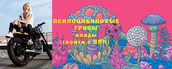крисы Абаза