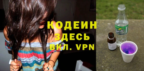 крисы Абаза