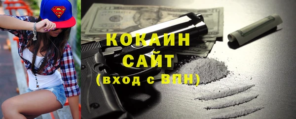 крисы Абаза