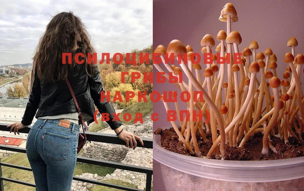 каннабис Алзамай
