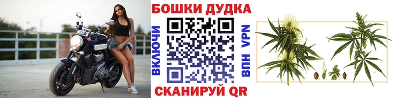 OMG ТОР  Почеп  Бошки Шишки OG Kush 